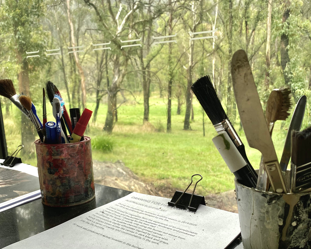 The view from my studio, one year after the black summer fire